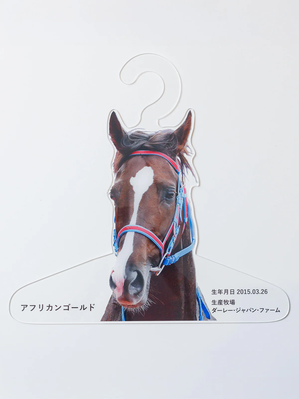 アフリカンゴールド・特製ハンガー