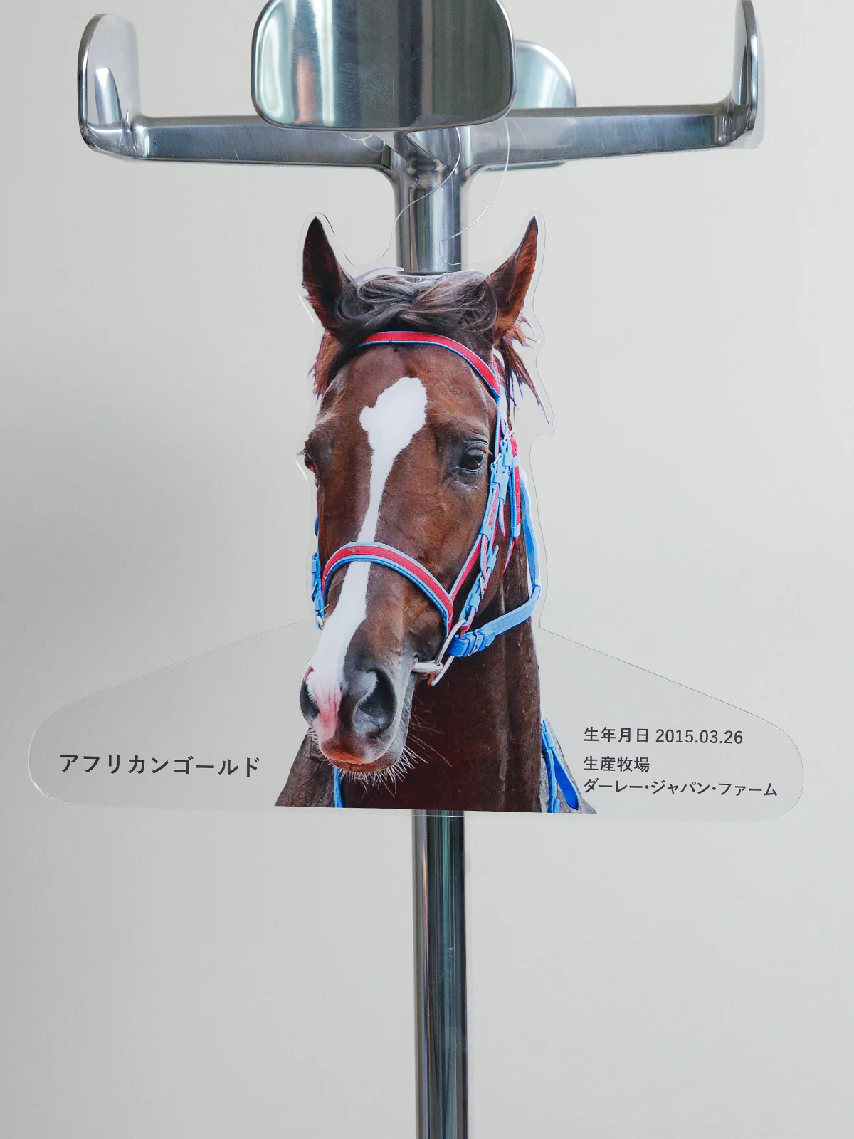アフリカンゴールド・特製ハンガー - Image 4