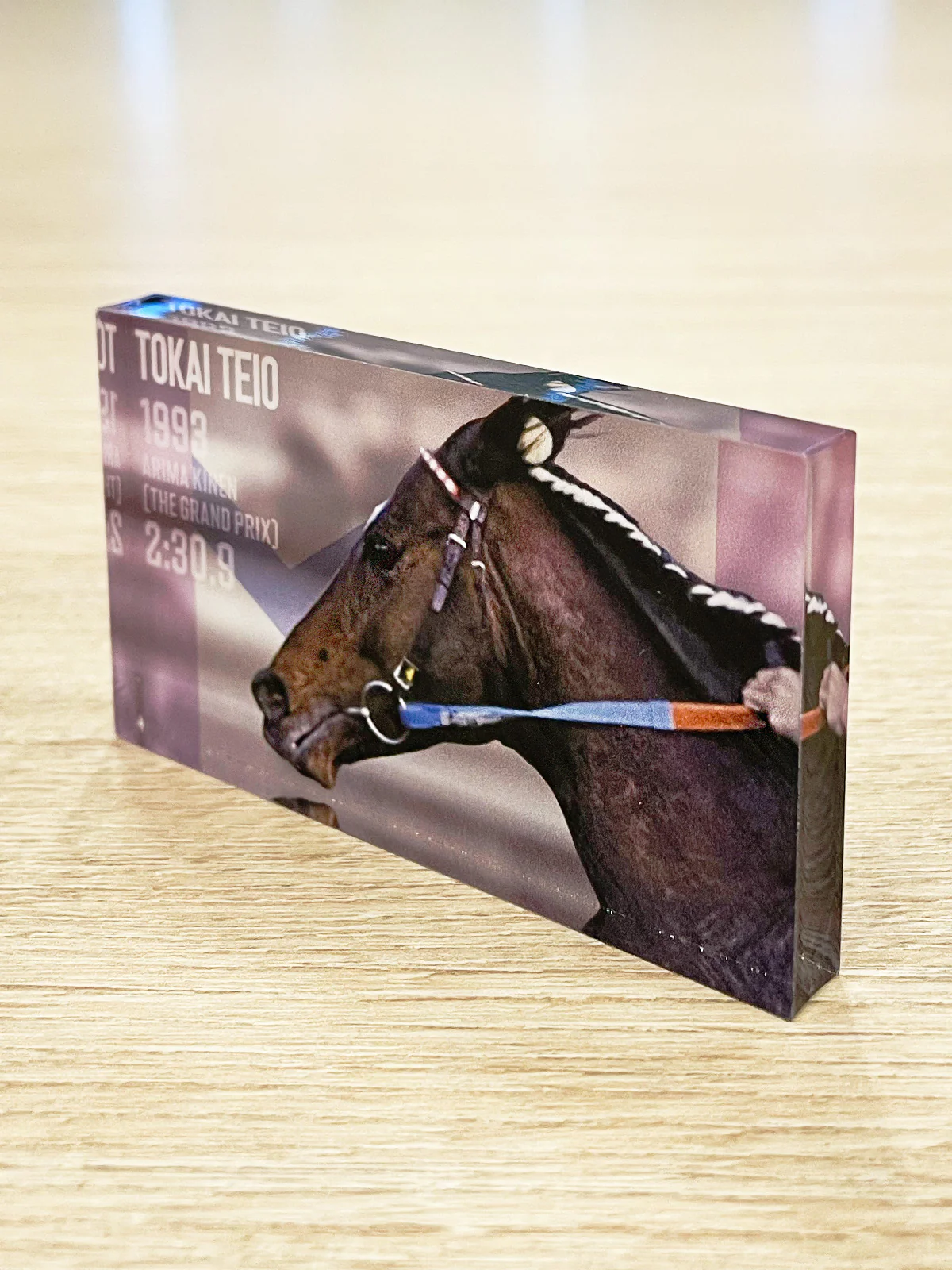 有馬記念アクリルブロック(ランダム全12種) - Image 3