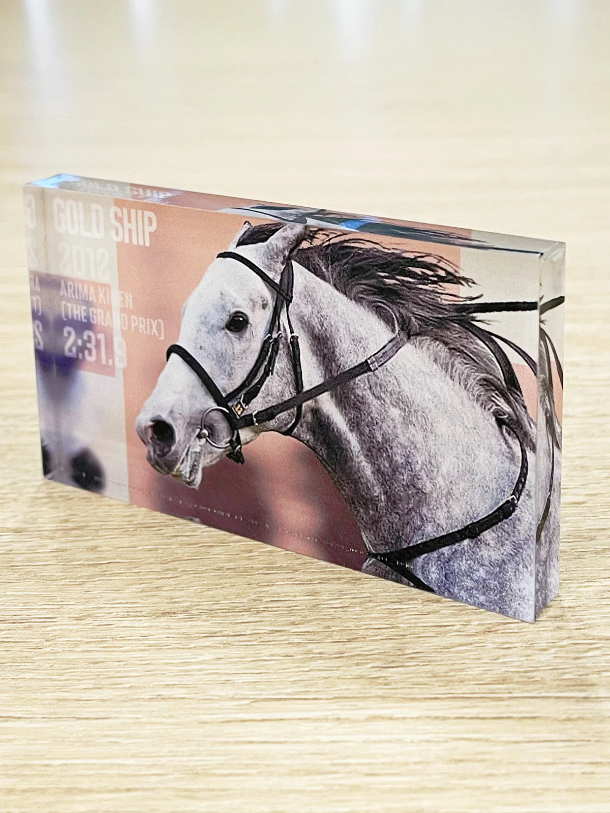 有馬記念アクリルブロック(ランダム全12種) - Image 8
