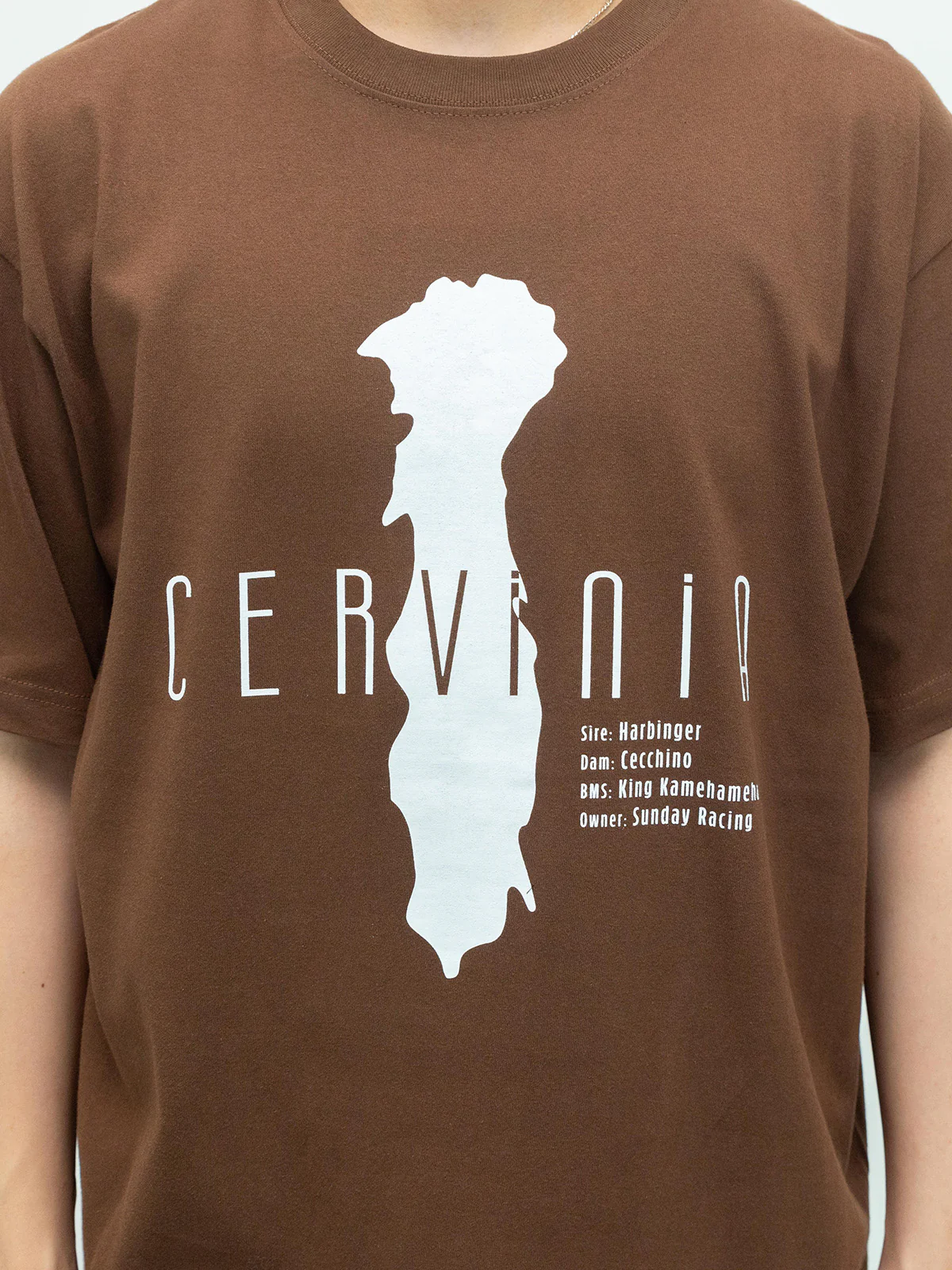 チェルヴィニア・Tシャツ(ブラウン) - Image 3
