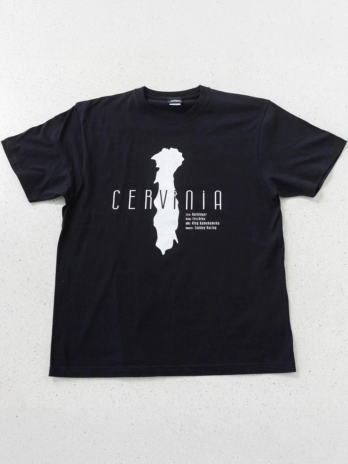 チェルヴィニア・Tシャツ(黒) - Image 4
