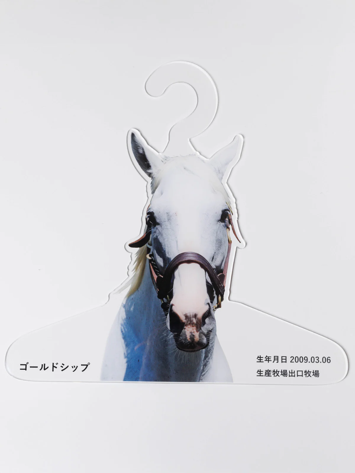 ゴールドシップ・特製ハンガー