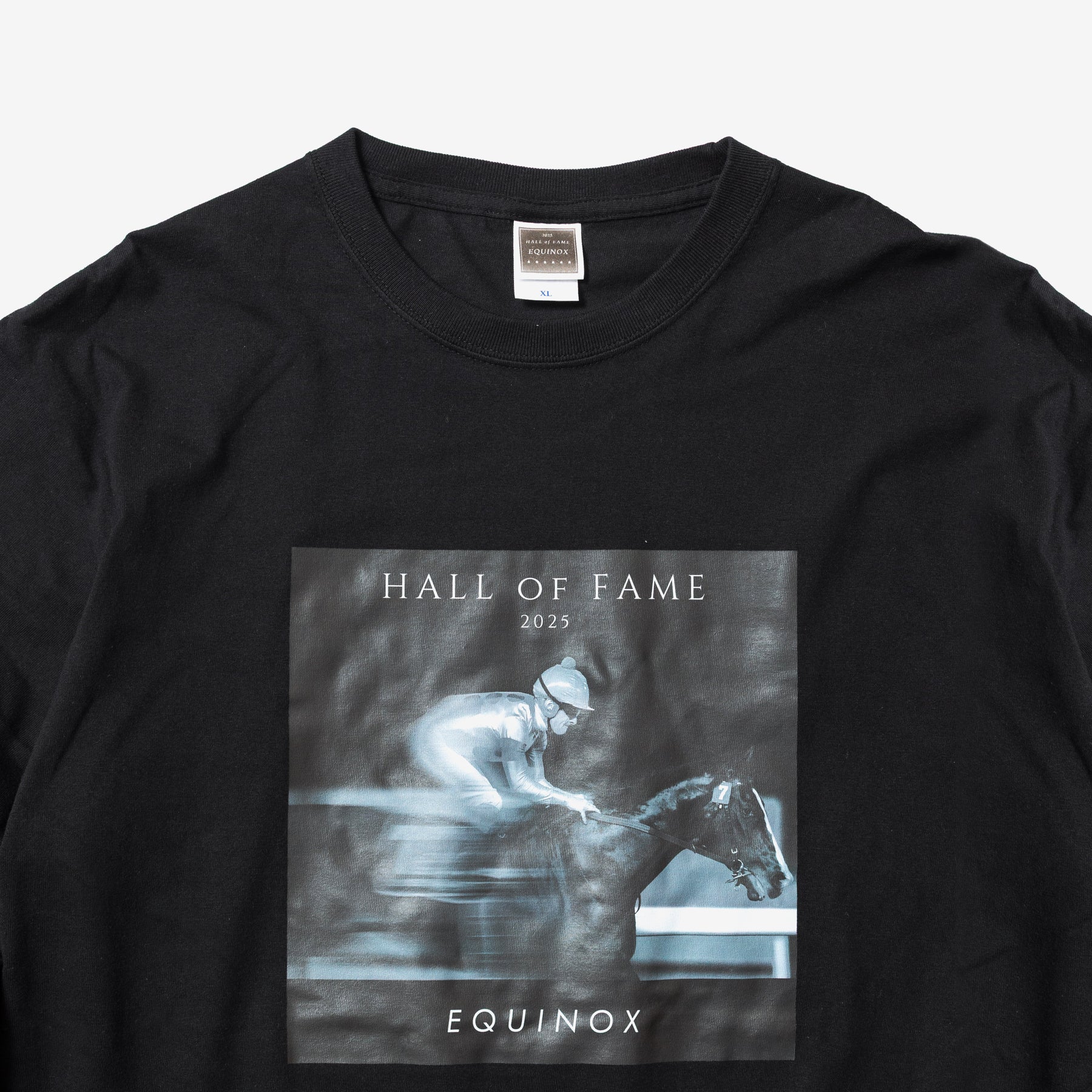【HORSE GOODS net】イクイノックス顕彰馬選定記念 ロングTシャツ - Image 10