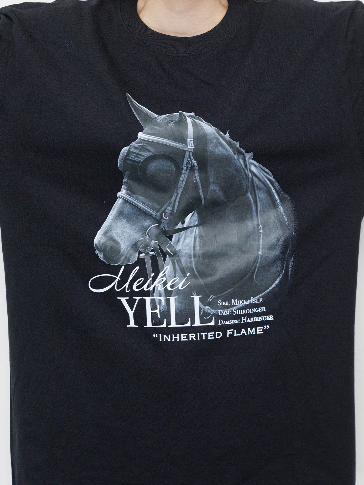 メイケイエール・パシュTシャツ(黒) - Image 4