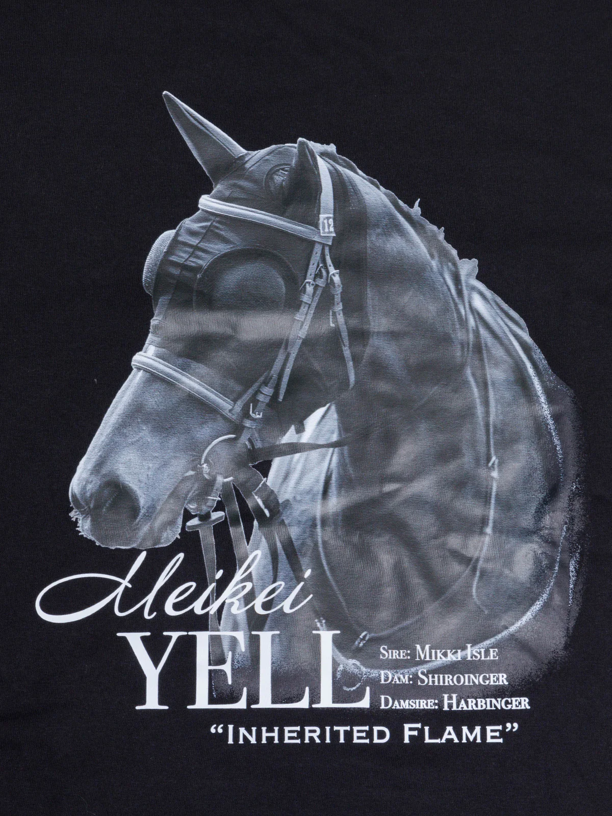 メイケイエール・パシュTシャツ(黒) - Image 6