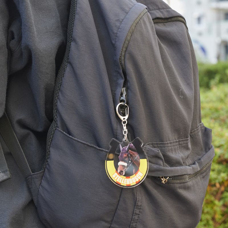 ステレンボッシュ・名馬烈伝アクリルキーホルダー - Image 4
