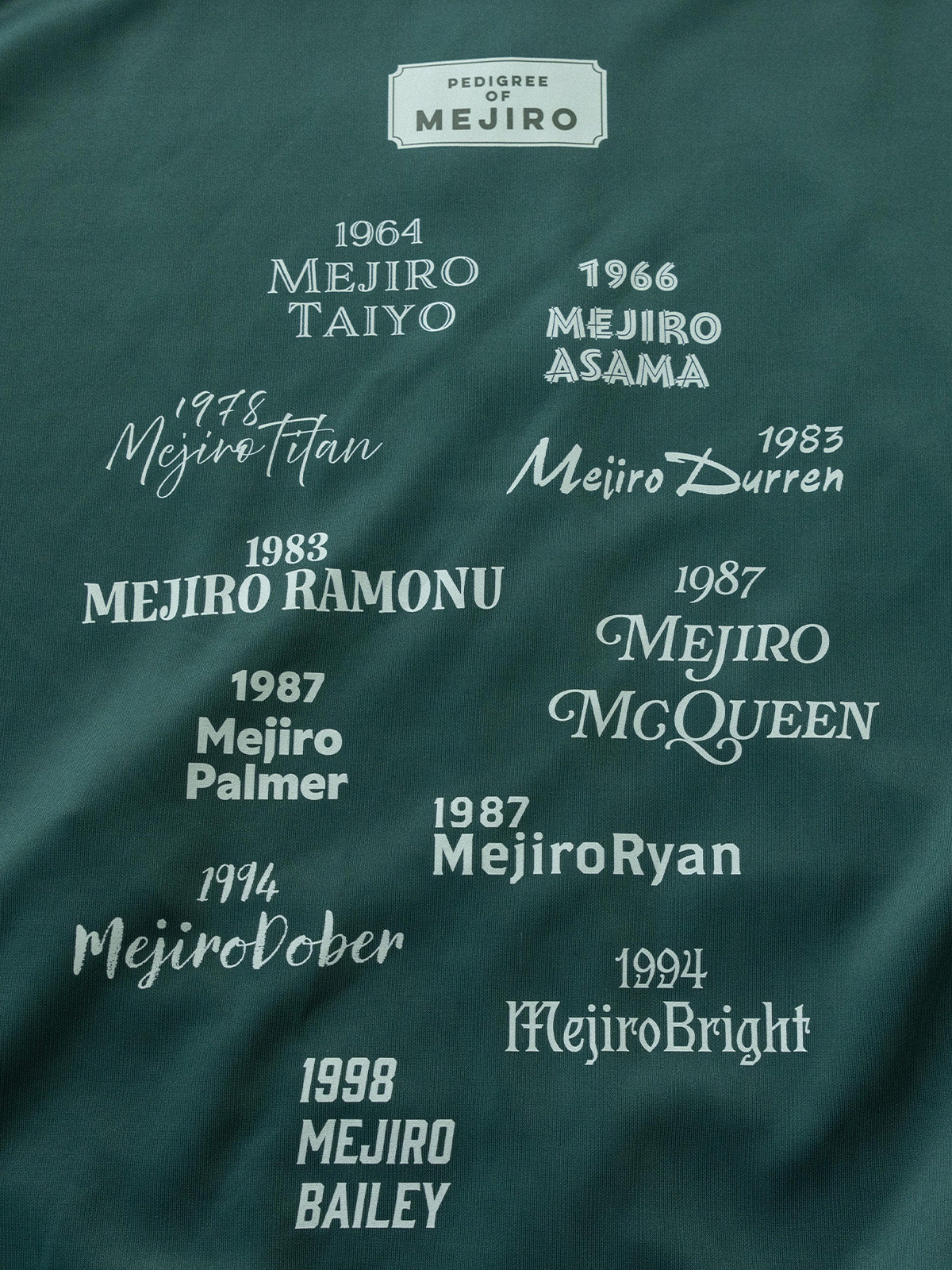 Teamメジロ・ジャージ - Image 7