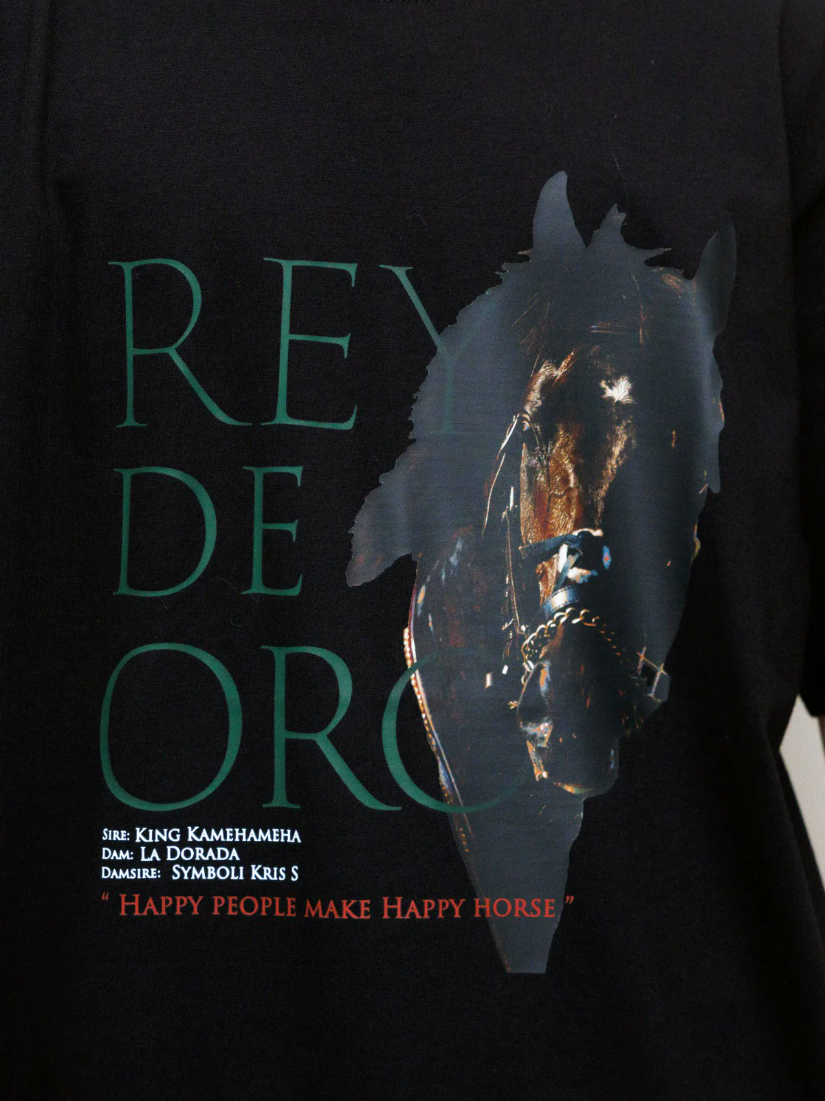 レイデオロ･Tシャツ - Image 4