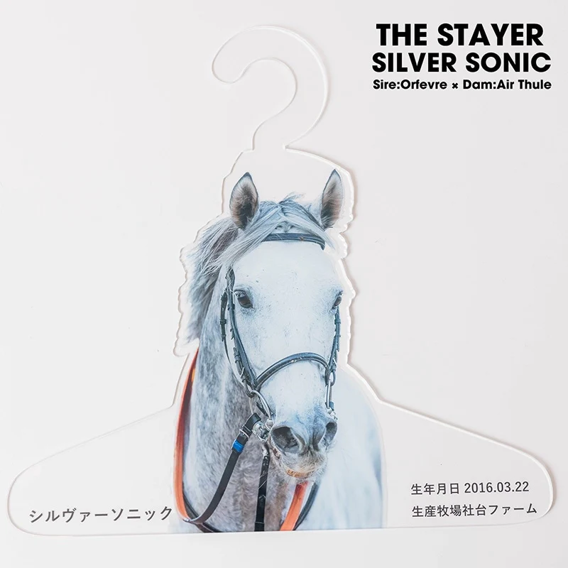 シルヴァーソニック・特製ハンガー
