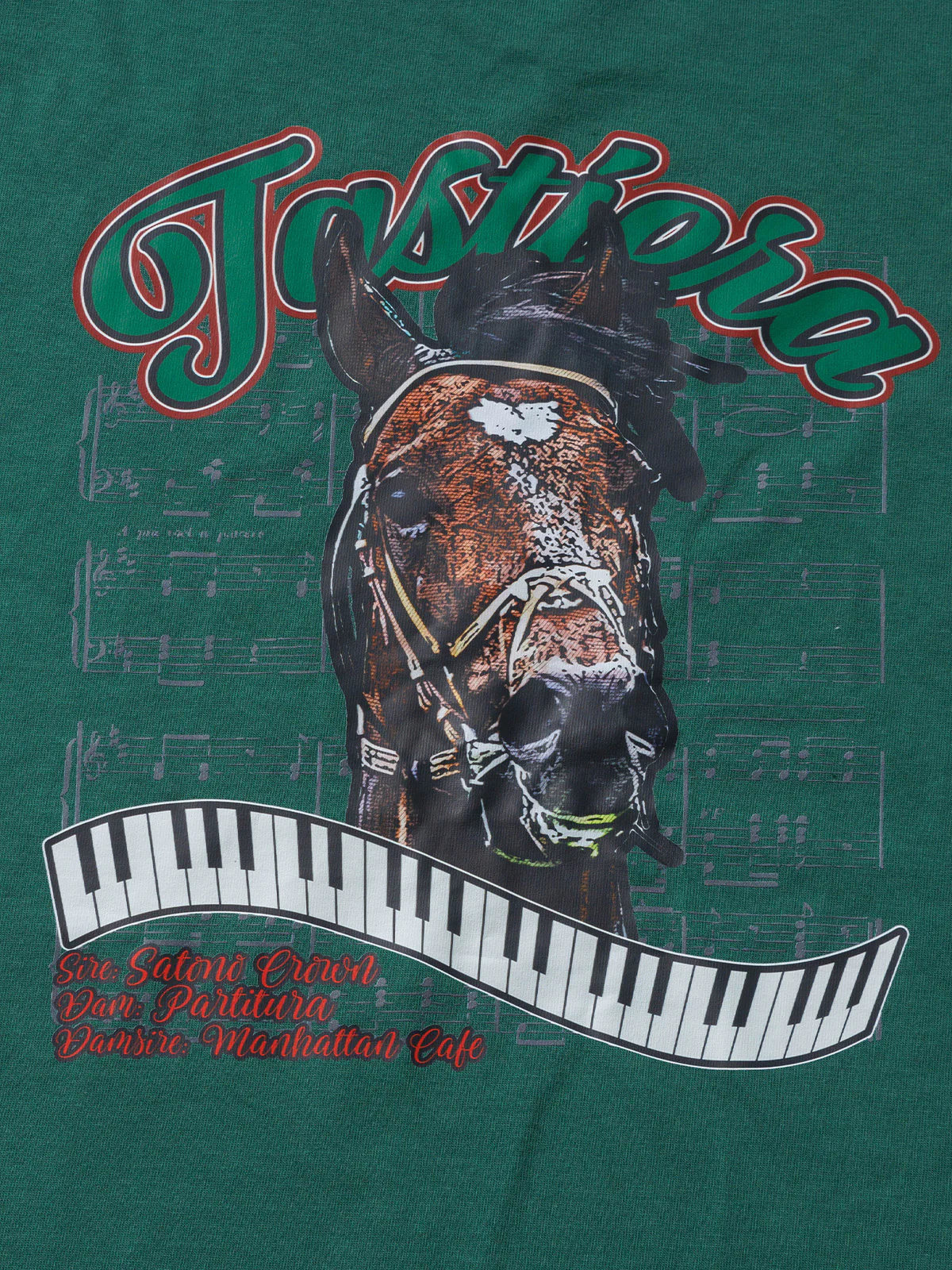 タスティエーラ・Tシャツ(グリーン) - Image 4