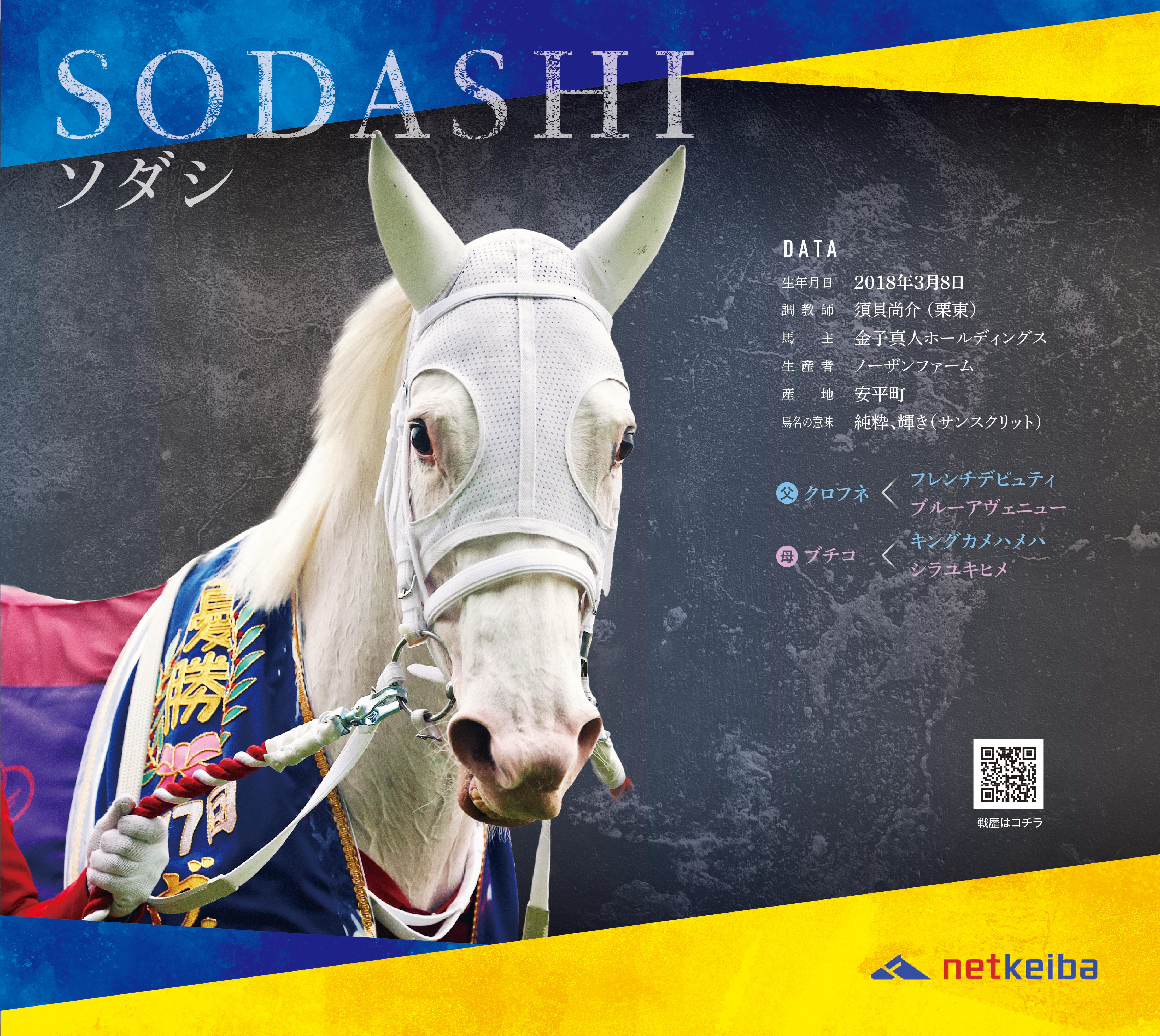 白毛馬一族色紙コレクションBOX - Image 3