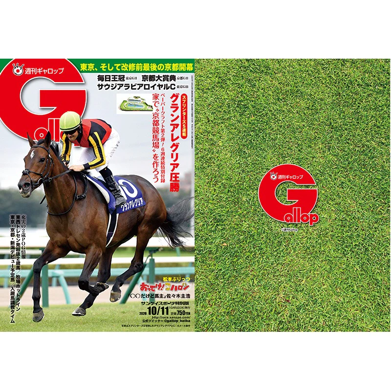 クリアファイル(Gallopコラボ) 2枚セット - Image 11