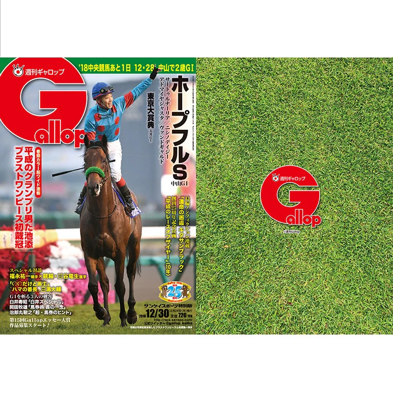 クリアファイル(Gallopコラボ) 2枚セット - Image 12