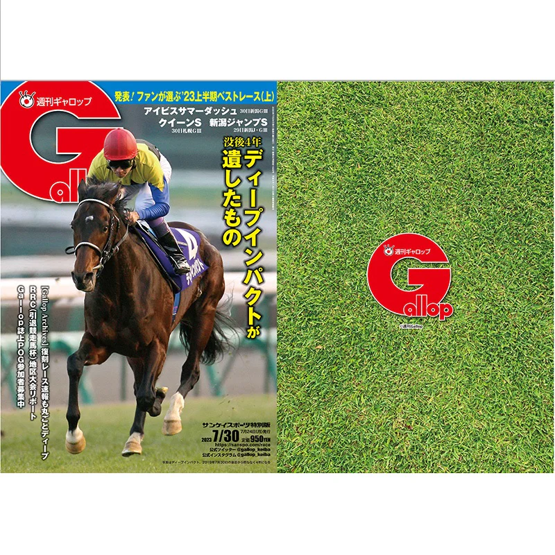 クリアファイル(Gallopコラボ) 2枚セット - Image 14