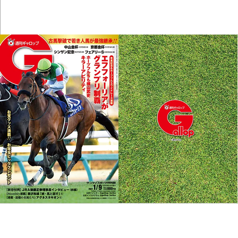 クリアファイル(Gallopコラボ) 2枚セット - Image 16