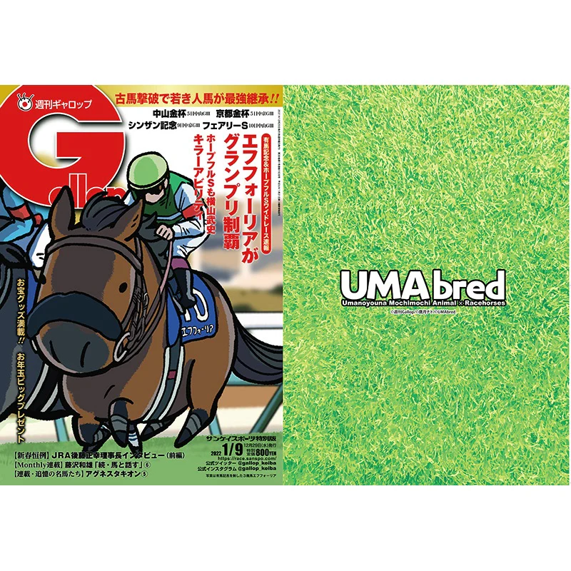 クリアファイル(Gallopコラボ) 2枚セット - Image 8