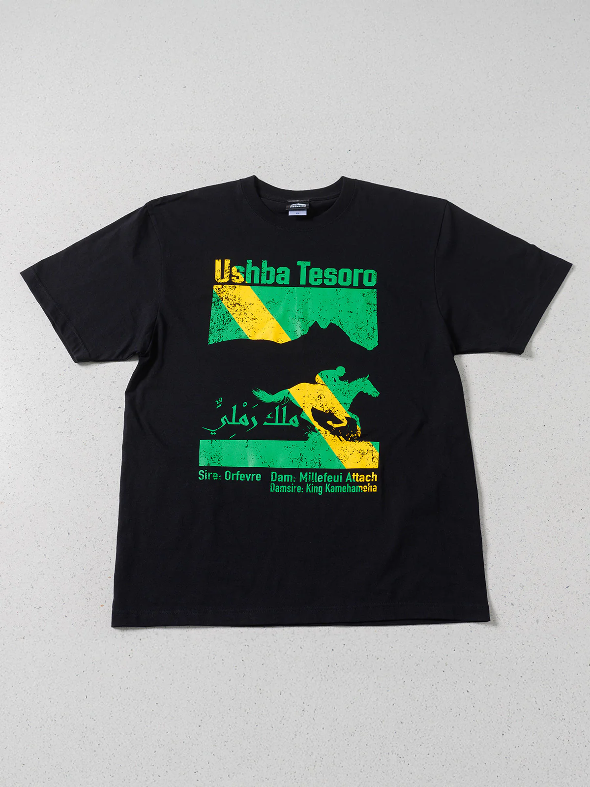 ウシュバテソーロ･Tシャツ - Image 4