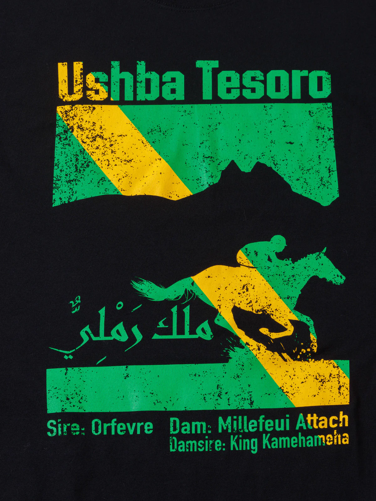 ウシュバテソーロ･Tシャツ - Image 5