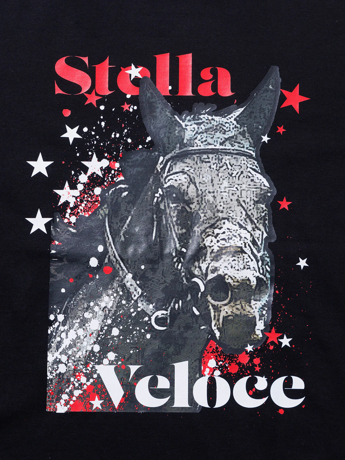 ステラヴェローチェ・Tシャツ - Image 6